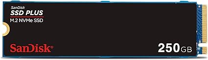 Disque SSD M.2 256 Go PCI NVMe